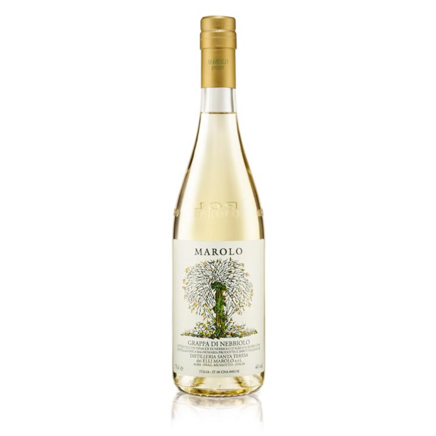 Dist. S. Teresa Deil F. LLI. Marolo SRL Ulrich D. Co Grappa di Nebbiolo Magnum